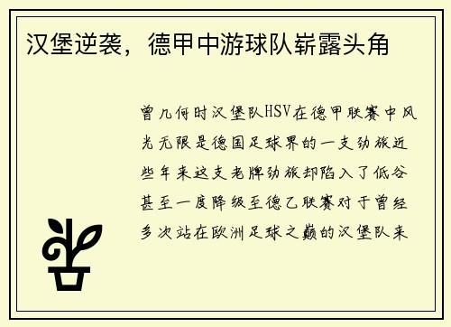 汉堡逆袭，德甲中游球队崭露头角